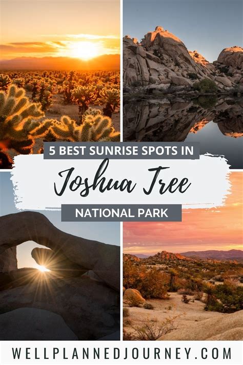 5 Stunning Joshua Tree Sunrise Spots You Need To See Artofit