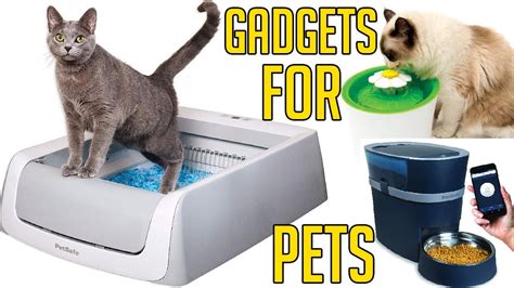 Top 5 Pet Gadgets You Should Have Essential Gadgets Pets Gadgets