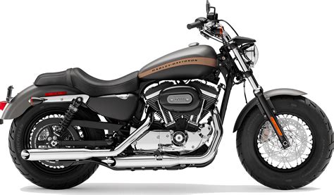 Harley Davidson Sportster 1200 Custom New 2019 Harley Davidson