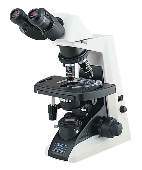 Upright Microscopes Nikon Microscopy
