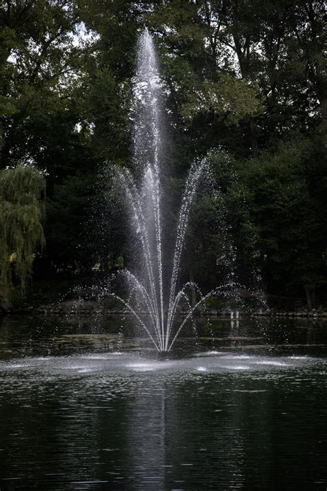 Close up of sprouting fountain in the pond image - Free stock photo - Public Domain photo - CC0 ...