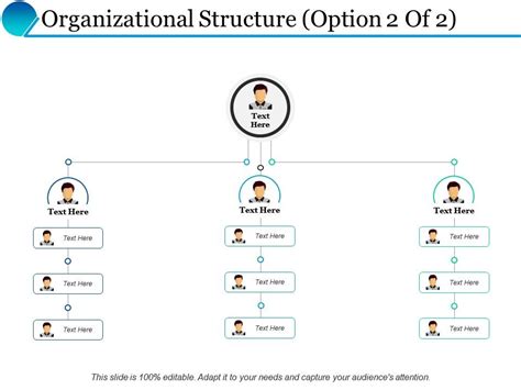 Organizational Structure Ppt Powerpoint Presentation Inspiration