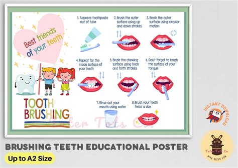 How To Brush Your Teeth Pdf Printable Dental Guide Ubicaciondepersonascdmxgobmx