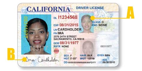 California Driver License Types Publishingpofe