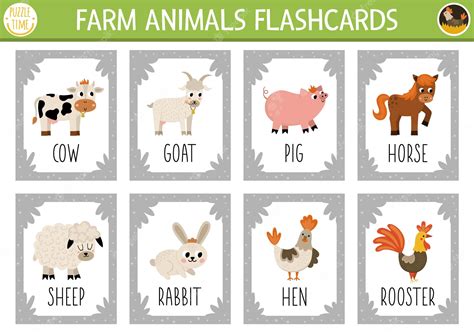 Premium Vector Vector Flash Cards Set With Farm Animals English