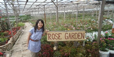 Established in 2001, strawberry garden hotel kundasang is strategically located between the world heritage site and the popular stopover site for temperate vegetables of kundasang town. Interesting Corner of Me : Kundasang Trip May 2014: Rose ...