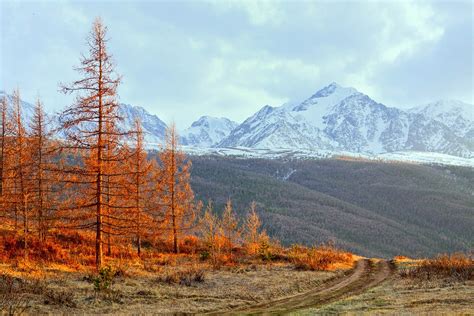 The Variety Of Altai Region Landscapes · Russia Travel Blog