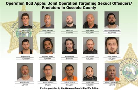 Bad Apples — Osceola Sheriffs Office Nets 56 Sexual Offenders Over Two Months Osceola News