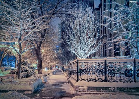 The United States Chicago Street Winter Viewes Fance Snowy Trees