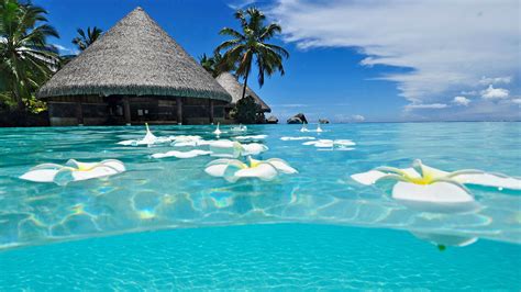 37 Hd Wallpaper Beach Paradise