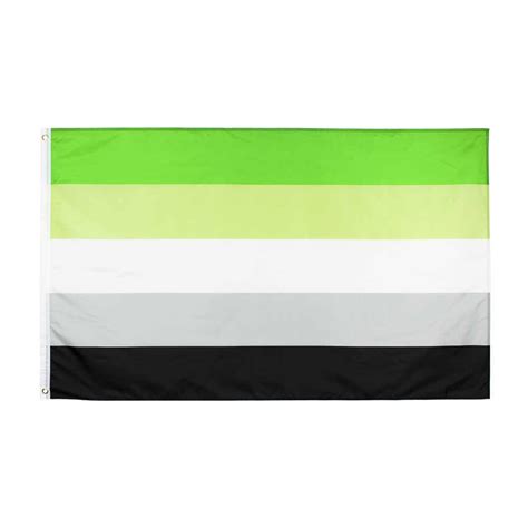 Rainbow Pride Flags 3′x5′ Asexual Lgbt Aromantic Flag China Aromantic