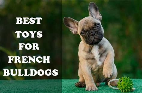 French bulldog pillow personalized frenchie gift french bulldog toy frenchie art bulldog lover birthday gift stuffed animal / 4pawslovers. Best Toys for French Bulldogs - Top Reviews | alldogsworld.com