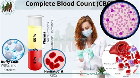 Complete Blood Count Cbc Test Understanding Results And Interpretations