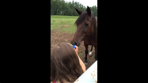 Horse That Blows Bubbles Youtube