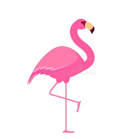 Cute Pink Flamingo Vector Illustration On Whhite Eps10 Stock Vector