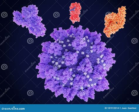 Potential Drug Target Proteins Of Coronavirus Sars Cov 2spike Protein