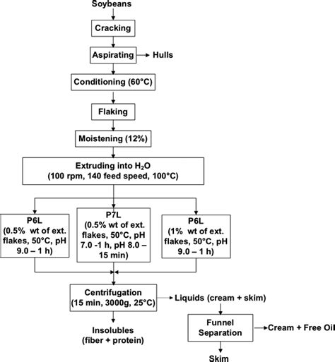 Enzyme Assisted Aqueous Extraction Of Oil And Protein From Soybeans And