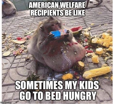 Why Is It That Everyone On Food Stamps Is Fat Imgflip