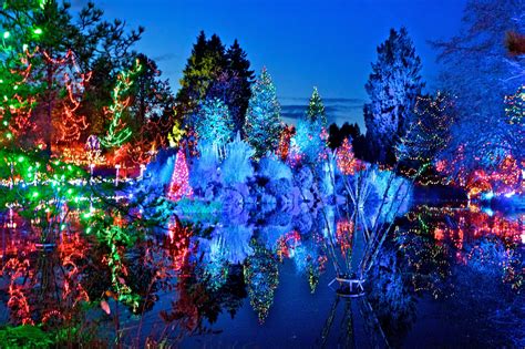 It is named for local lumberman and philanthropist whitford julian. Festival of Lights at VanDusen Botanical Gardens - My Van City