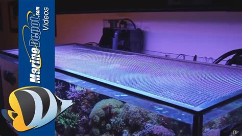 See more ideas about aquarium design, fish tank, home aquarium. Tutorial: Make a DIY Screen Top for Your Aquarium - YouTube