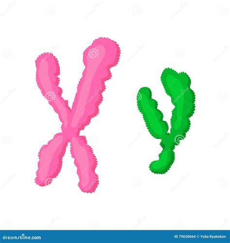 Xy Chromosome Cartoon Hot Sex Picture