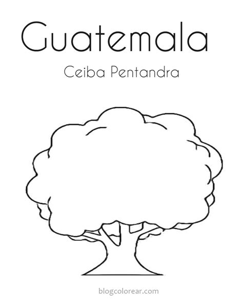 Dibujos De Monja Blanca Guatemala Para Colorear Simbolos Patrios PDMREA