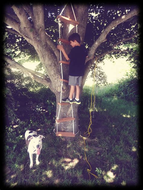 A Magic Tree House Rope Ladder Or A Quick Saturday Morning Project