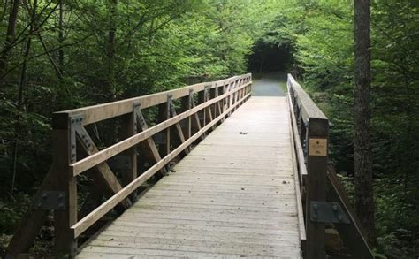 The Limberlost Trail In Shenandoah National Park Is An Easy