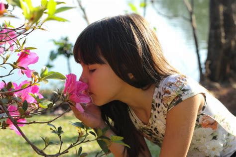 Little Girl Smelling Flower Stock Photos Pictures And Royalty Free