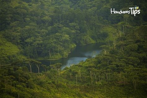 Top 5 De Parques Nacionales En Honduras Tipsviajeros Porn Sex Picture