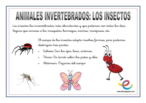 Explorando El Mundo De Los Animales Invertebrados Create Webquest
