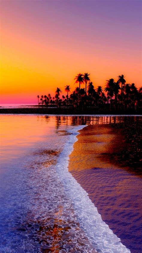 720x1280 Wallpaper Beach Tropics Sea Sand Palm Trees