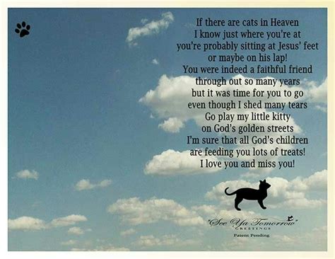 Cat Heaven Cat Heaven Pet Sympathy Memorial Cards