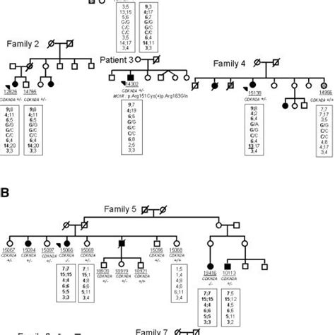 Pedigrees Of French Melanoma Prone Families And Haplotypes At 9p21 A