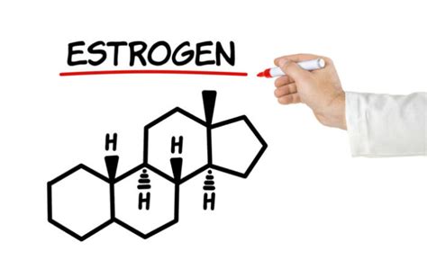 Estrogen Blockers A Definitive Guide