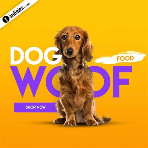 Social media sizes and specs for images, videos, and more per the landscape of social media is constantly changing. Dog Food Social Media Banner Free PSD Template - Indiater
