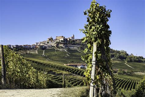 The Hill Of La Morra In The Piedmontese Langhe In Autumn During The