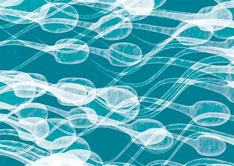The Differences Between Semen And Sperm You Need To Know