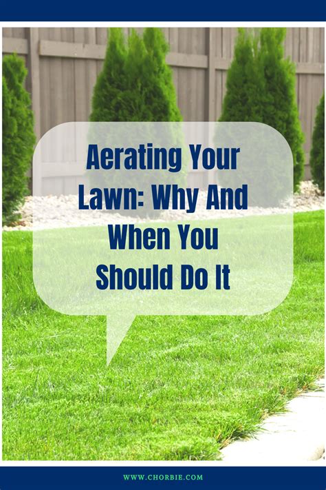 It was so bad that they will need to go back and will until the problem is taken care of. Aerating Your Lawn: Why And When You Should Do It in 2020 ...