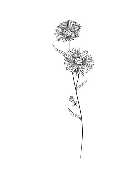 13 April Birth Flower Drawing 2022 Ilulissaticefjordcom