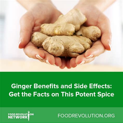 Ginger Benefits And Side Effects Get The Facts On This Potent Spice Ginger Benefits Ginger