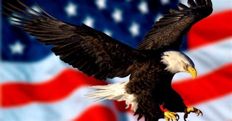 United States Flag Eagle Background Wallpapers Collection