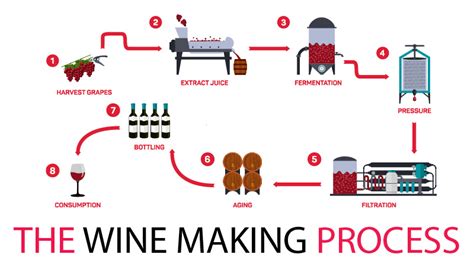 The Wine Making Process And The Perfect Pour Ohaus