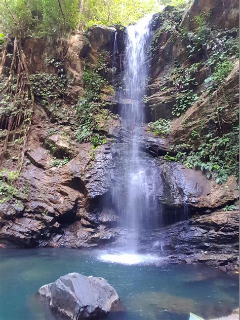 Avocat Waterfall Destination Trinidad And Tobago Tours Holidays