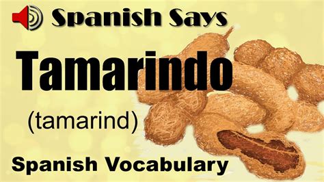 Tamarindo How To Say Pronounce Tamarindo Tamarind In Spanish