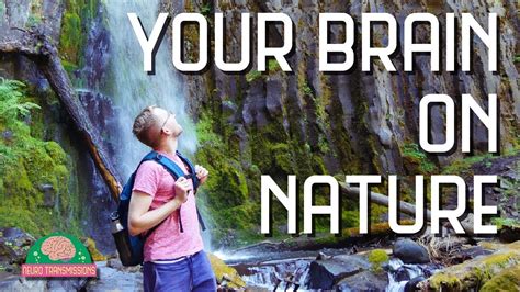 Why Nature Is Good For Your Mental Health Inspire Health And Fitness