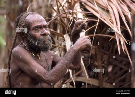Old Man Of The Korowai People West Papua West New Guinea Irian Jaya