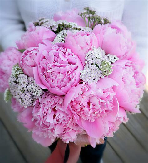 P I N K Peonies Bouquet Pleaseeeee Pink Peonies Bouquet Peonies Bouquet Bouquet