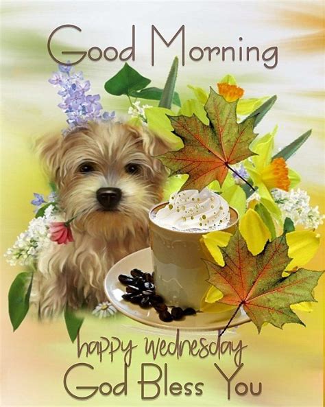 Dog Good Morning Happy Wednesday God Bless You Pictures Photos And