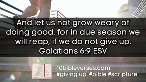 Bible Verses About Not Giving Up Daily Scripture Quotes And Biblical